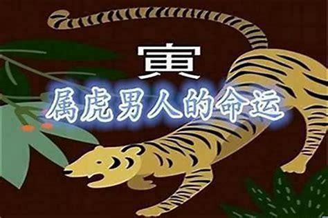 1998年生肖|1998年属虎的最佳配偶 98年属虎的和什么属相最配